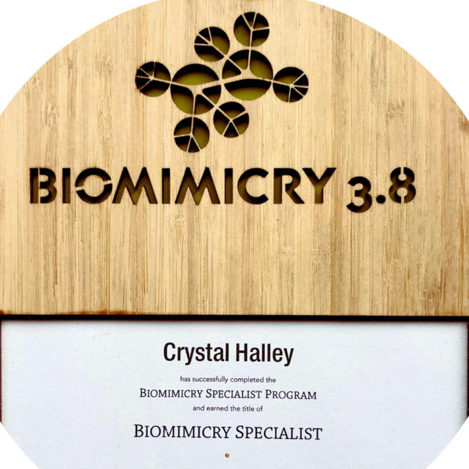 Biomimicry Specialist